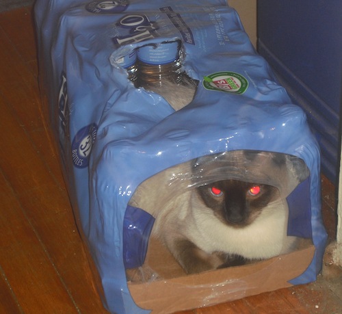Jules In Case Of Water Jules In Case Of Water
