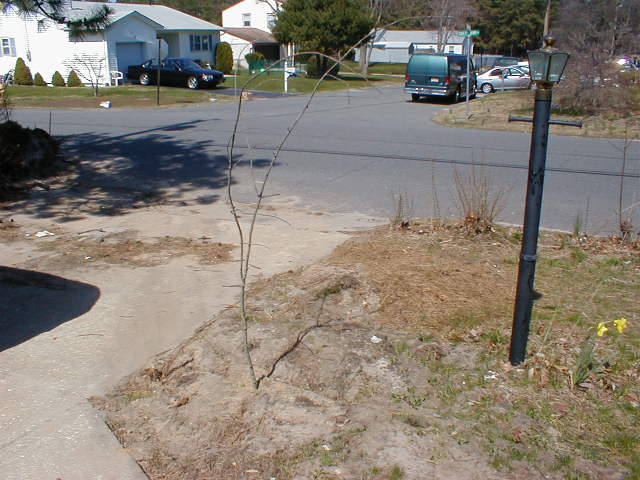 The New Hedge
