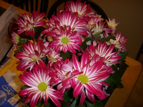 Lb3 Easter Flowers Lb3 Easter Flowers