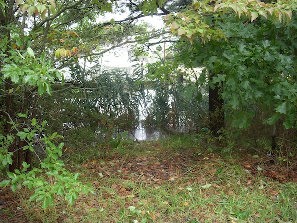 Hurricane Irene Queen Ann Lagoon