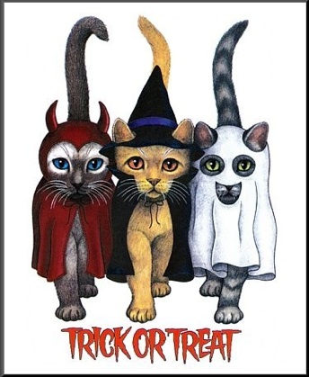Trick Or Treat Halloween Cats
