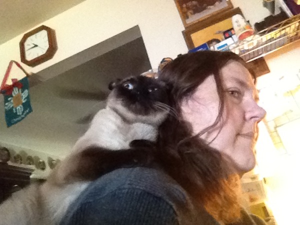 Wordless Wednesday - Jules on my Shoulder Wordless Wednesday - Jules on my Shoulder