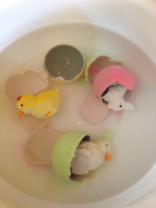 Hide Em & Hatch Em Eggs