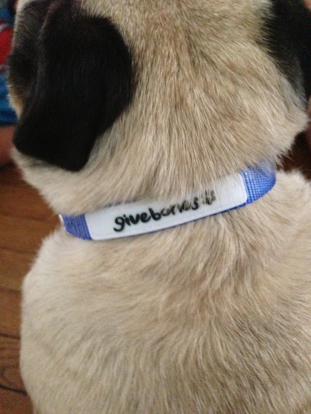 Givebones Dog Collars