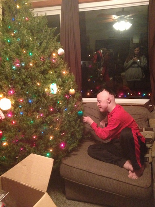 2013 Decorated Christmas Tree