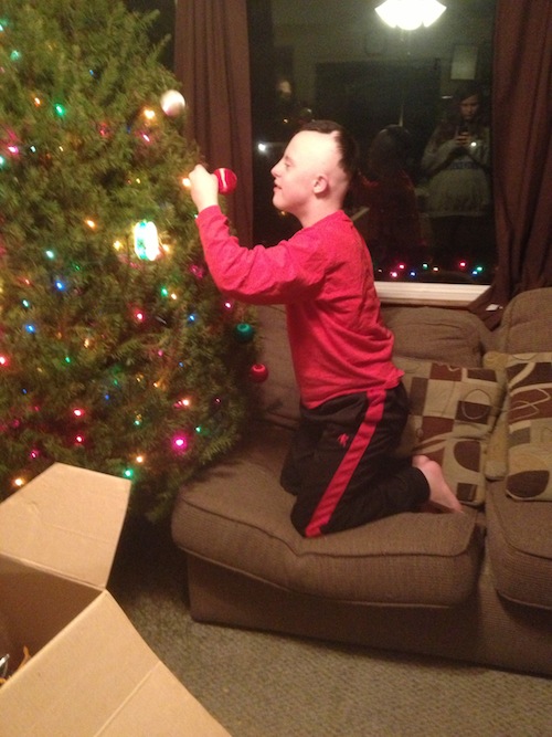 2013 Decorated Christmas Tree