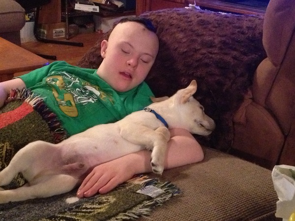 C And Dobby Sleeping