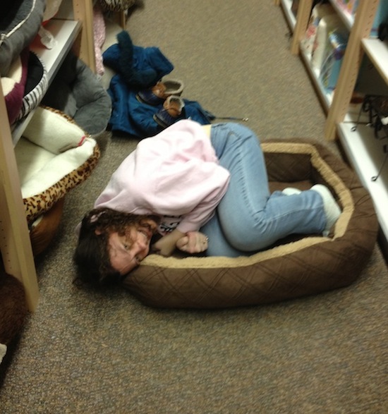 Me in a dog bed
