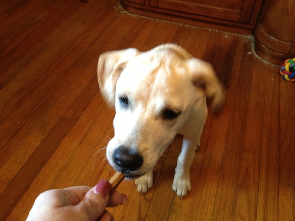Milk-Bone Brushing Chews