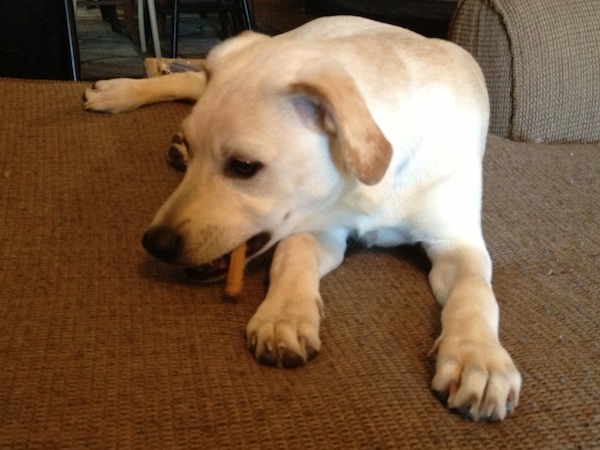 Milk-Bone Brushing Chews