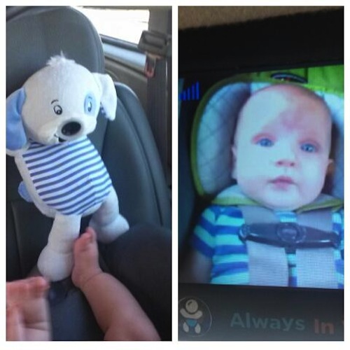 InfantTech Always in View Baby Monitor