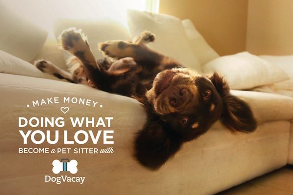 DogVacay