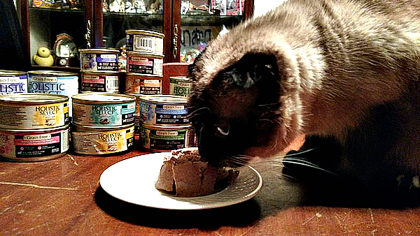 Holistic Select canned cat food