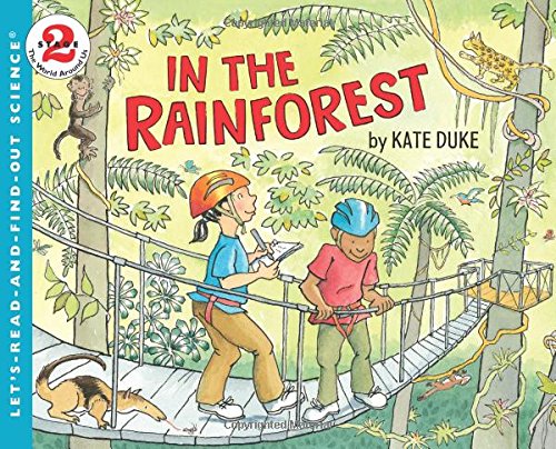 In The Rainforest