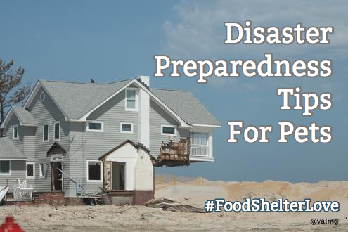 Hill’s® Food, Shelter, & Love - disaster preparedness for pets