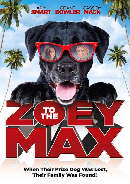 Zoey To The Max DVD