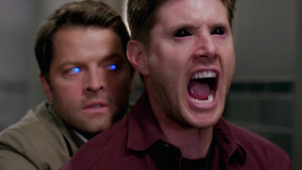Supernatural: The Complete Tenth Season