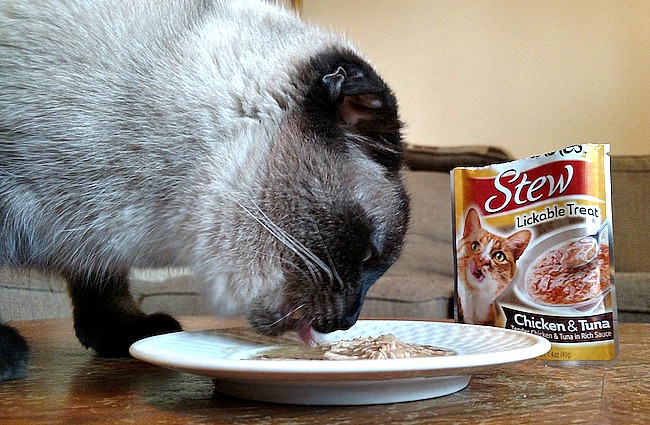 Treat Your Pet To Extra TLC With #BabbleBoxx Pet Edition