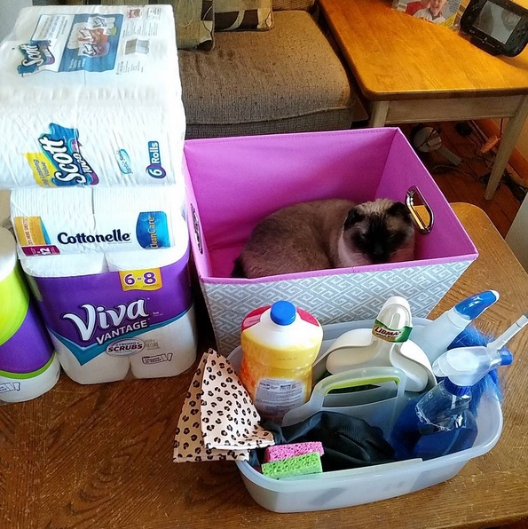 Spring Cleaning Essentials And Tips #SpringClean16 #Walmart