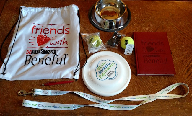 Dobby and I Are Howlingly Happy To Be Beneful Ambassadors. #FriendsWithBeneful