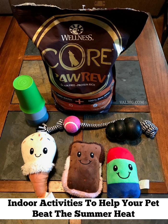Indoor Activities To Help Your Pet Beat The Summer Heat - Wellness® CORE® RawRev™ #RawRevolution (sponsored)