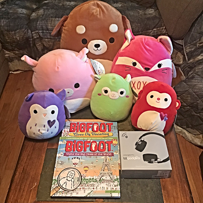 Road Trip Essentials For Kids