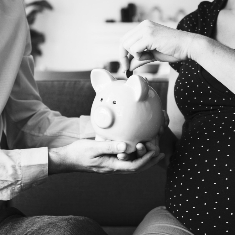 piggy bank