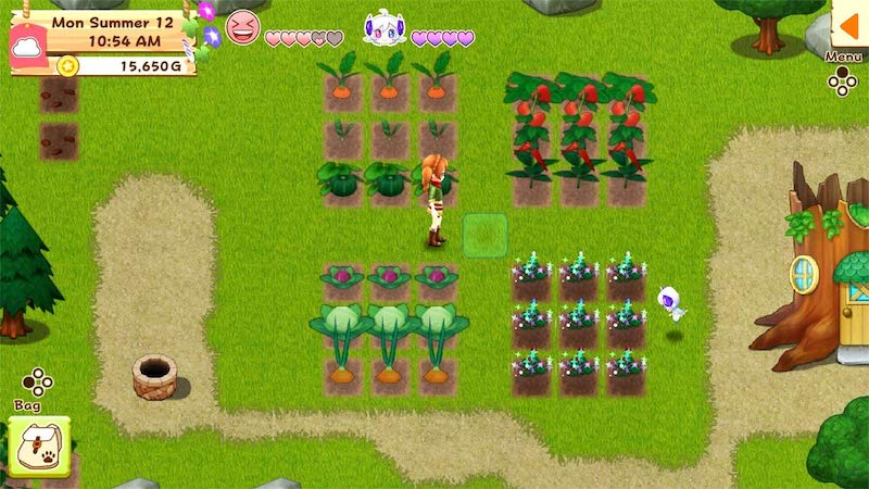 MOM KNOWS IT ALL 2019 HOLIDAY GIFT GUIDE - Harvest Moon: Light Of Hope Special Edition For Nintendo Switch and PlayStation 4